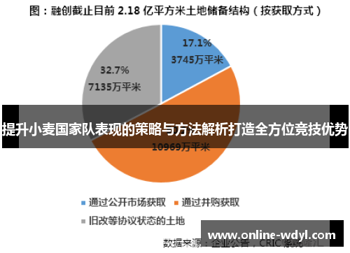 提升小麦国家队表现的策略与方法解析打造全方位竞技优势