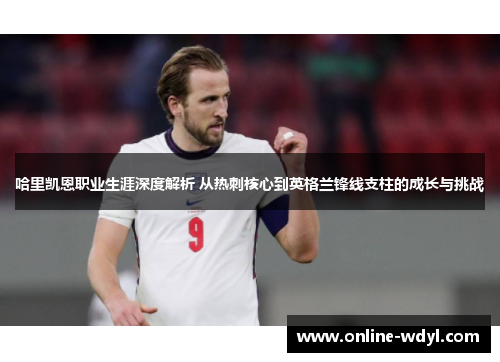 哈里凯恩职业生涯深度解析 从热刺核心到英格兰锋线支柱的成长与挑战