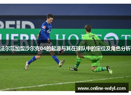 法尔范加盟沙尔克04的起源与其在球队中的定位及角色分析 法尔范加盟沙尔克04的起源与其在球队中的定位及角色分析