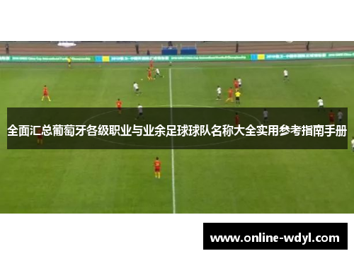全面汇总葡萄牙各级职业与业余足球球队名称大全实用参考指南手册
